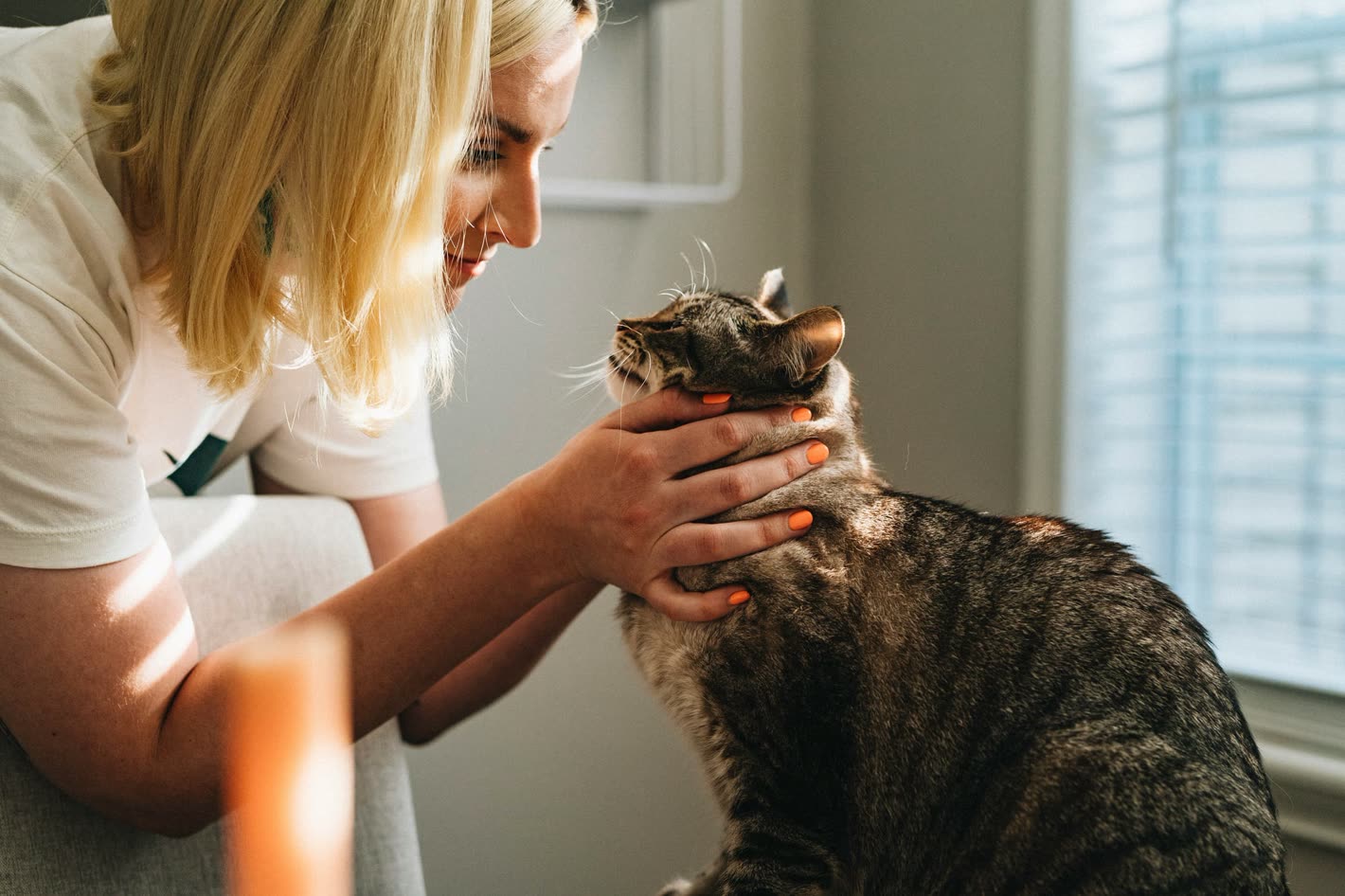 Veterinary